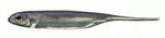Fish Arrow Flash-J 3" - Lake Wakasagi/Silver #25 - 1 szt.