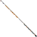 Wędka Brain Blast Pole 700cm