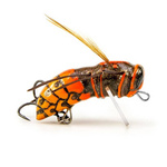 Wobler Imago Lures Hornet 3,5cm - pływający - OB