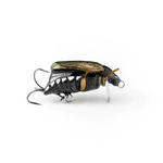 Wobler Imago Lures Maybug 3cm Surface Exclusive - pływający - BK