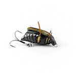 Wobler Imago Lures Maybug 2,5cm Flow - pływający - BK