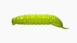 Przynęta Libra Lures Goliath 3cm | 027 - Apple Green | brak zapachu | 15 szt.