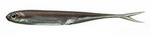 Fish Arrow Flash-J Split 3" - Wakasagi/Silver #07 - 1 szt.