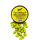 Yellow Spin