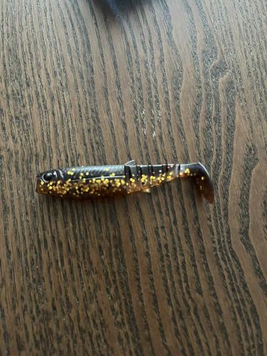 Filip, Poznań Filip, Poznań