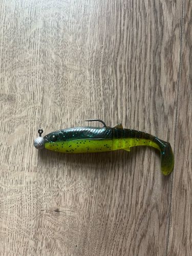 Filip, Poznań Filip, Poznań