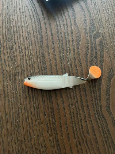 Filip, Poznań Filip, Poznań