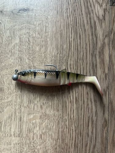 Filip, Poznań Filip, Poznań