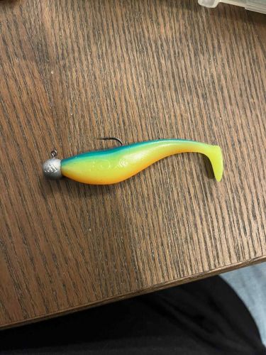 Filip, Poznań Filip, Poznań