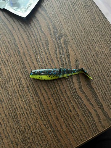 Filip, Poznań Filip, Poznań