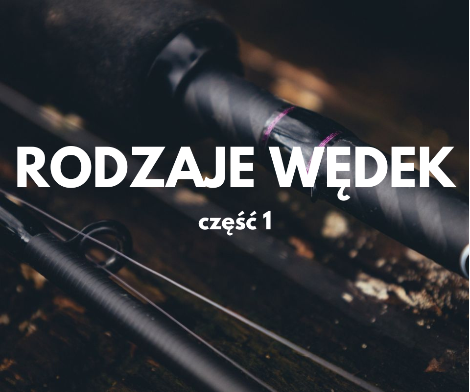 Rodzaje wędek - część 1