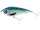 ATLANTIC MACKEREL \ 15