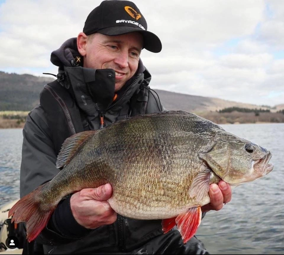 Guma Savage Gear Cannibal 10cm | Firetiger