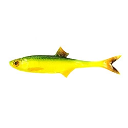 Przynęta ANGRY LURES Bleak F-Tail - 15cm - GYO