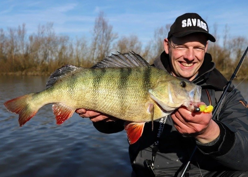 Guma Savage Gear Cannibal 6,8cm | Olive Hot Orange