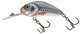 Silver Holographic Shad