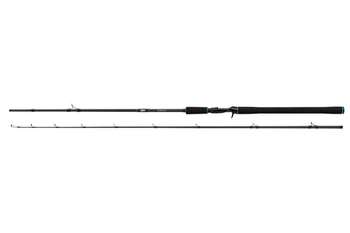 Wędka Salmo Trollmaster 240 cm 40-60 g 2pc