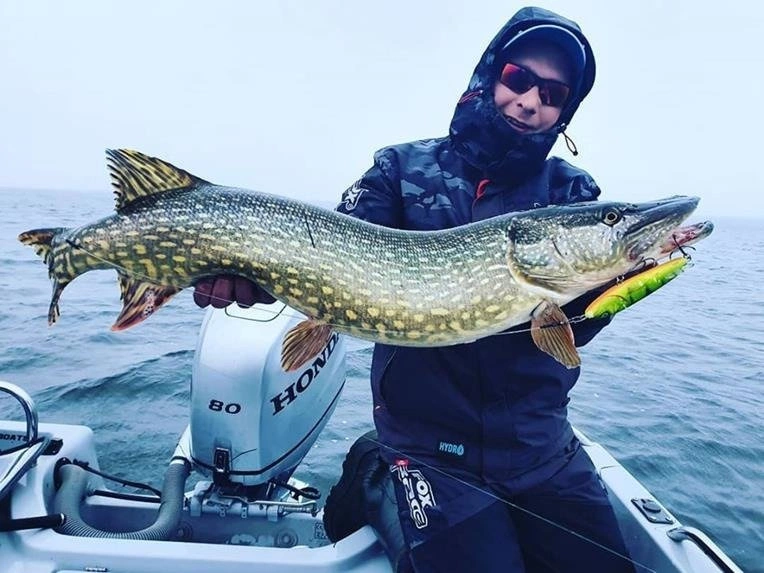 .Wobler Salmo Sweeper 17cm | Spotted Emerald Perch | tonący