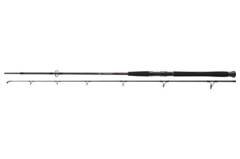 Wędka DAIWA Exceler CF Spin 2.70m - 135g