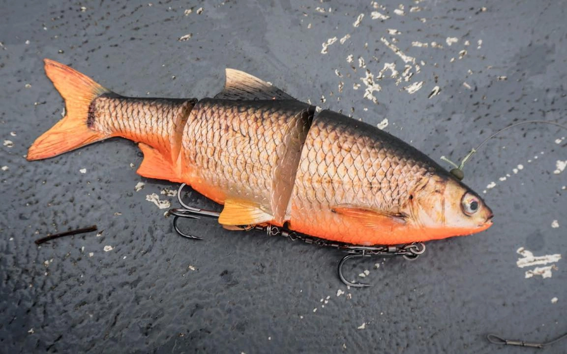 Przynęta Westin Ricky the Roach Inline 20cm | Secret UV Roach | tonący