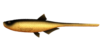 Przynęta LIBRA LURES BLEAK - SLUG TAIL 8,2" (20.8cm) - 30g - 009 GOLD