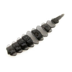 Przynęta FISHCHASER Drago Worm / 2.7cm / 10szt. / Black Magic