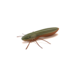 Guma Nays BG 20 | 5.1cm | C-29 | 6 szt.
