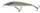 9 \ Table Rock Shad \ Neutralny