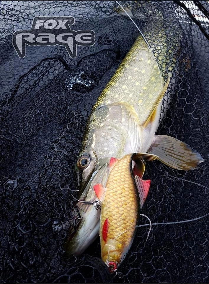 FOX Rage Replicant Realistic Roach Super Wounded Roach 45g 14cm