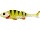 Yellow Perch