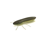 Guma Nays BG 20 | 5.1cm | C-32 | 6 szt.