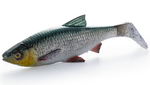 Guma Savage Gear 4D LB River Roach 18cm | Green Silver
