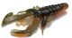 UV Craw