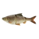 Bream