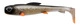 UV Black Back Shad