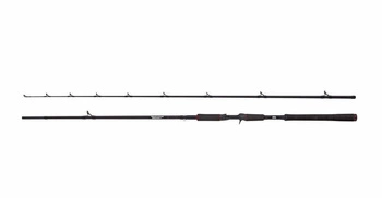 Wędka ABU GARCIA Beast Pike 802HP 30-100g Cast