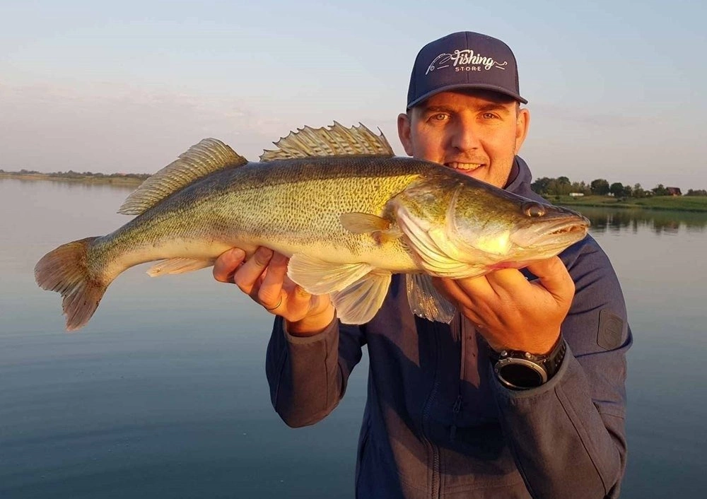 Przynęta FOX RAGE Zander Pro Shad 12cm Glitter Perch