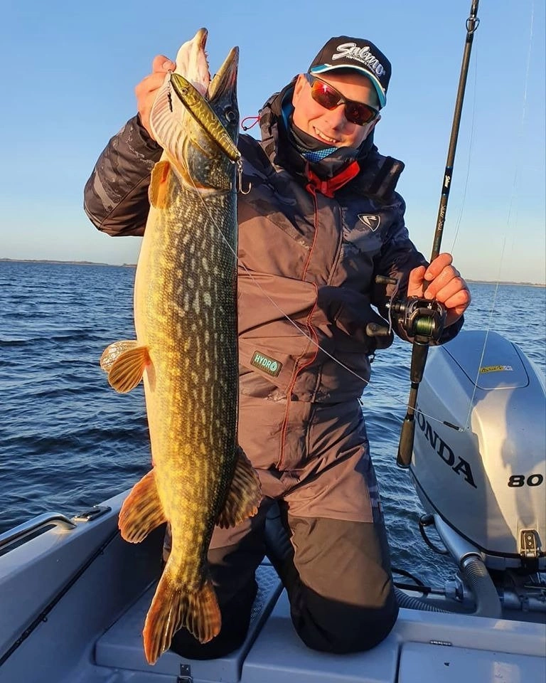 .Wobler Salmo Sweeper 17cm | Spotted Emerald Perch | tonący