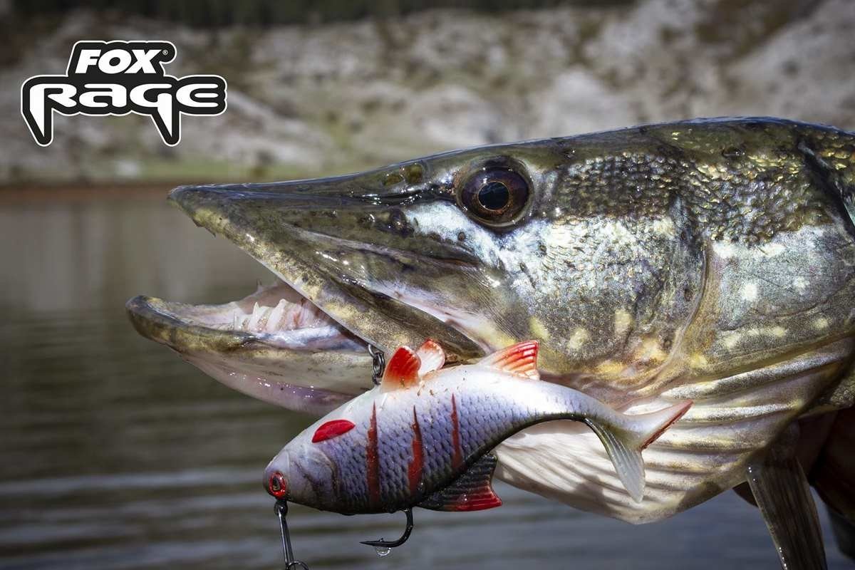 Fox Rage Replicant Realistic Roach Lure